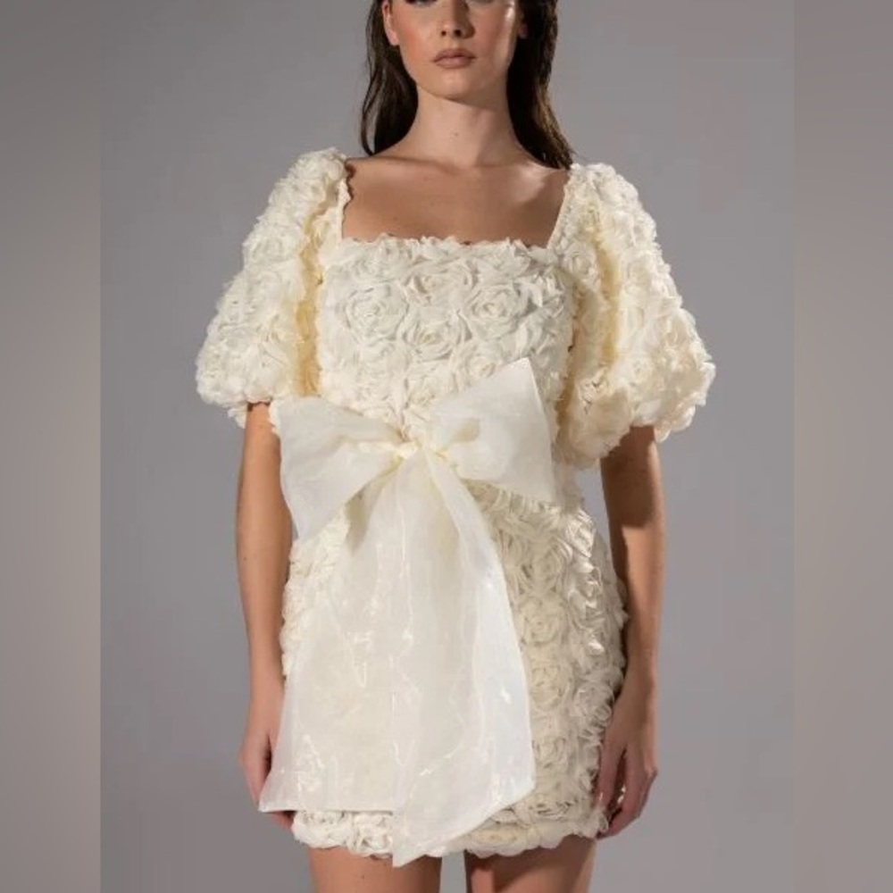 In full bloom textured mini dress - Akira